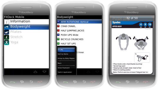 FitDeck Mobile for BlackBerry Storm